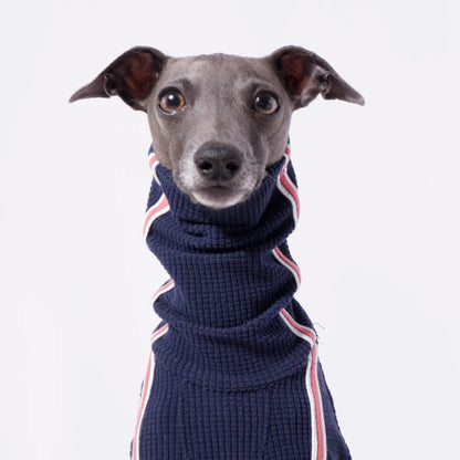 Sweater  "Sporty Stripe Knit"