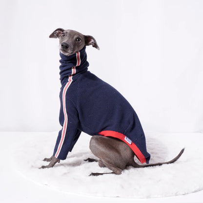 Sweater  "Sporty Stripe Knit"