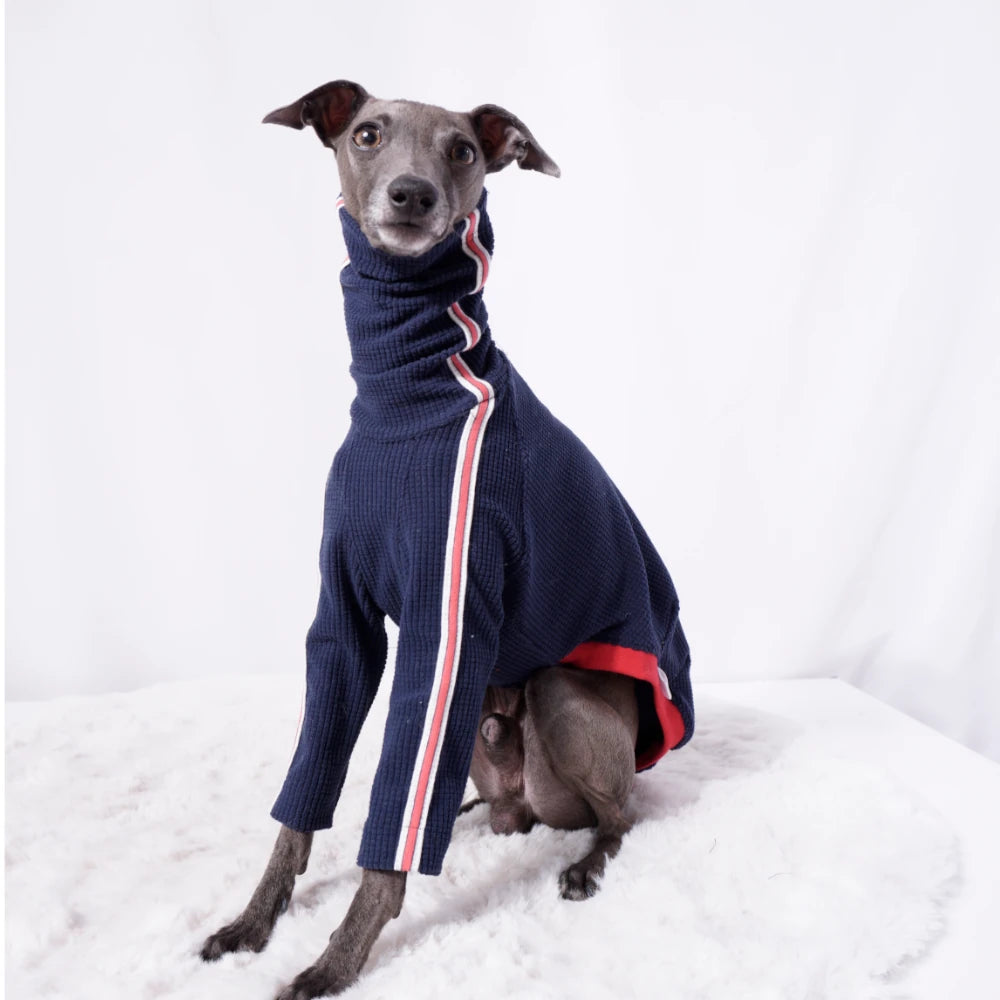 Sweater  "Sporty Stripe Knit"