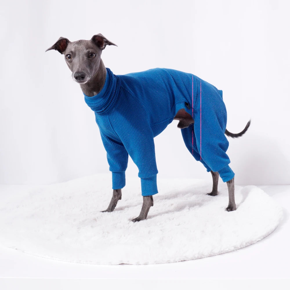REGALE – Jumpsuit