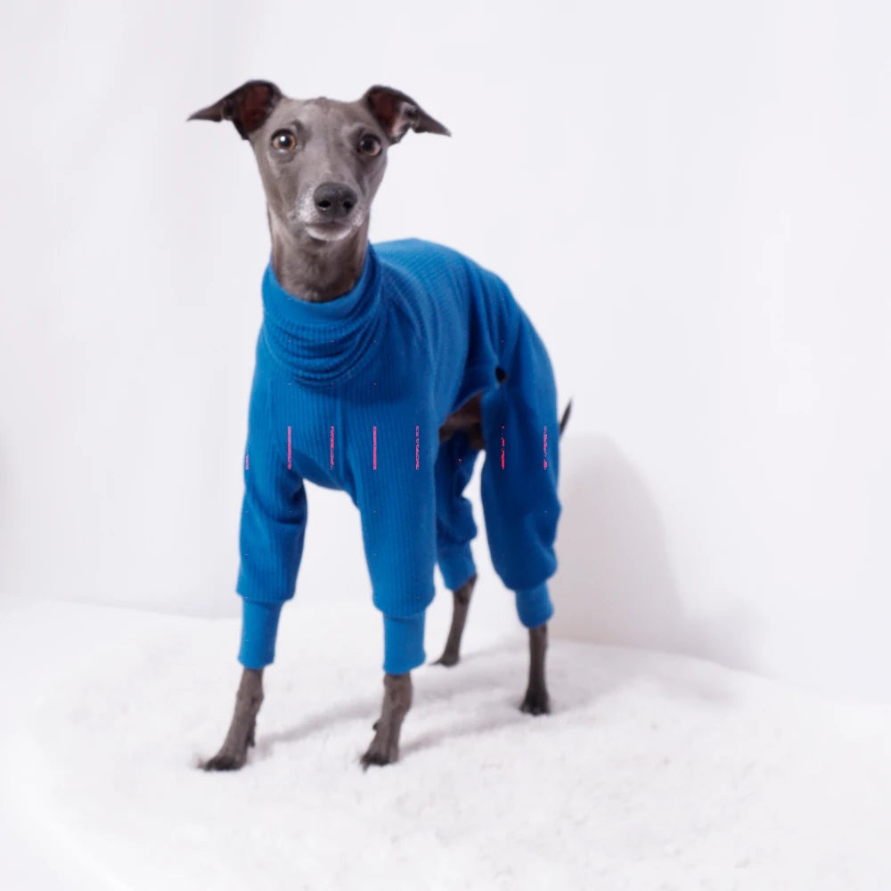 REGALE – Jumpsuit