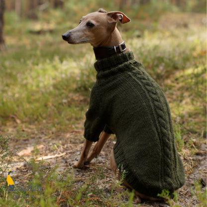 Strickanleitung Pullover "HUGO" PDF