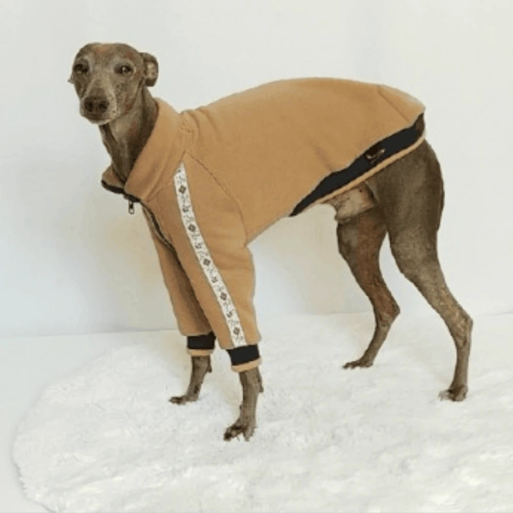 Totenkopfdesigner-Jacke